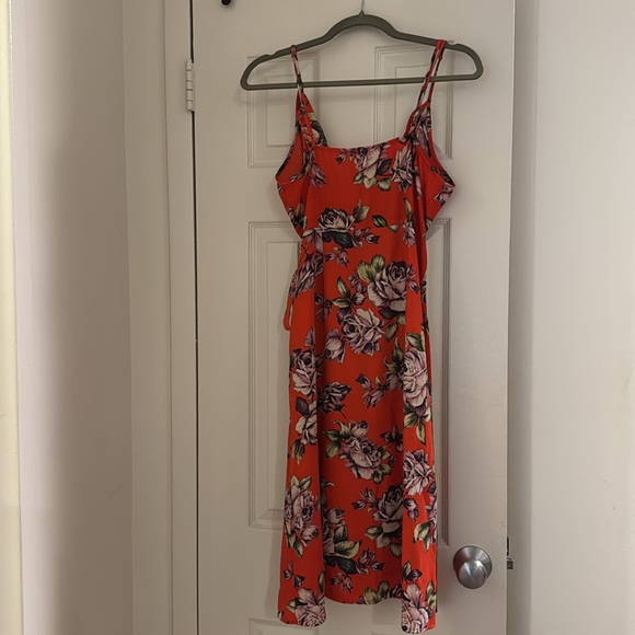 Spring Dress - Picture 5 of 5